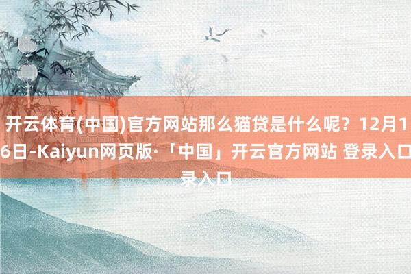 开云体育(中国)官方网站那么猫贷是什么呢？12月16日-Kaiyun网页版·「中国」开云官方网站 登录入口